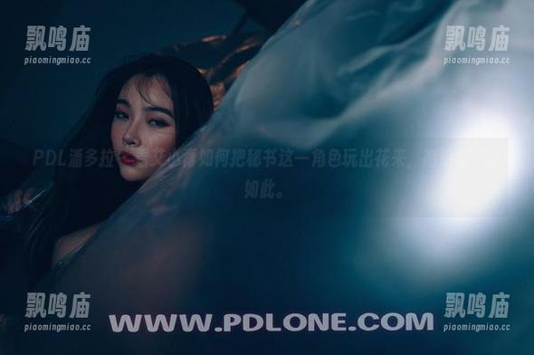 PDL潘多拉 - 看艾小青如何把秘书这一角色玩出花来，高清也不过如此。
