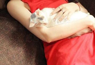 推女神 – 观看穆菲菲的丝袜图包，你确定能把目光收回来？