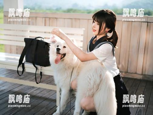 这些金鱼JK的美图，河豚抚子这一波合集中，有一种抚慰心灵的魔力？