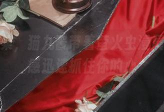 全套图集，猫九酱带着萤火虫漫展的幽默感迅速抓住你的心