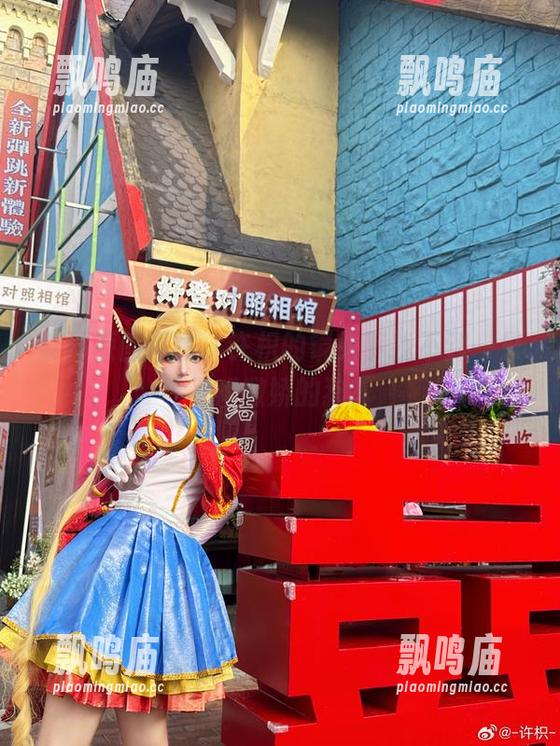 柴郡原图深挖，许枳的镜头下找不到一只不爱撒娇的狗。